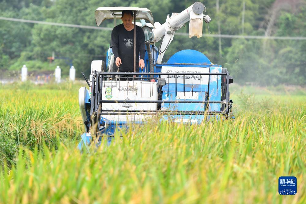 蓬莱岛注册官网